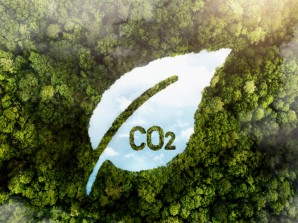 Ecology and carbon footprint reduction